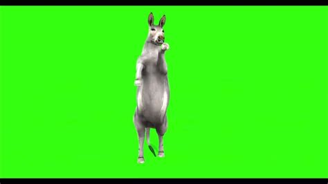 wild ass 27 green screen 4k animation free 3d youtube