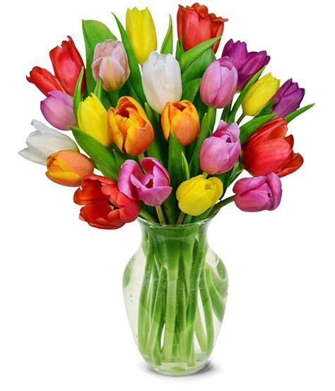 Rainbow Tulip Bouquet 20 Stems At From You Flowers