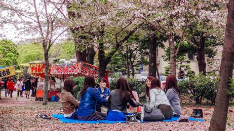 Planning Your Cherry Blossom Japan Adventure 5 Beautiful Viewing Spots