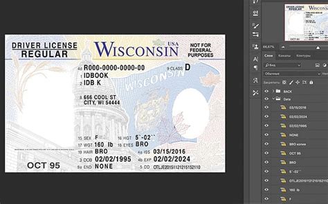 Wisconsin Driver License Usa
