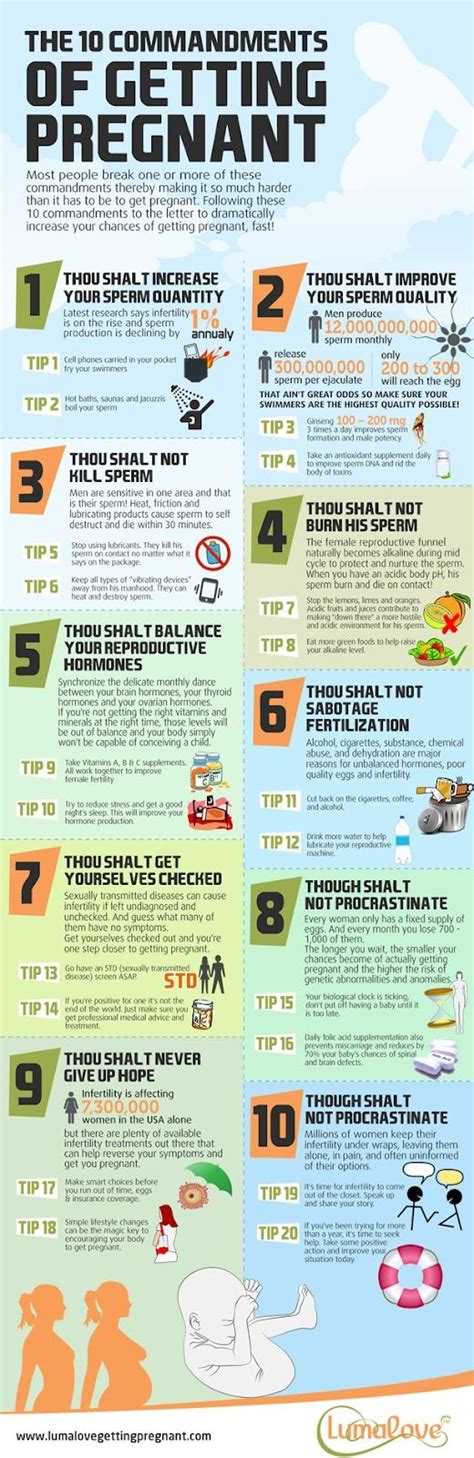 the 10 commandments of getting pregnant info poster with instructions for how to get pregnant