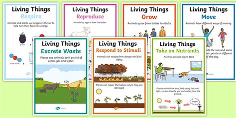Characteristics Of Living Things A4 Poster Set