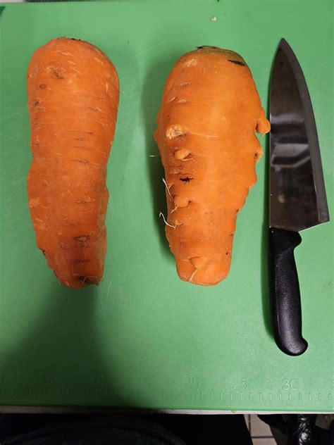 We Doing Big Ass Carrots Now R Kitchenconfidential