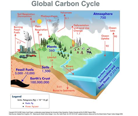 Global Carbon Cycle Airs
