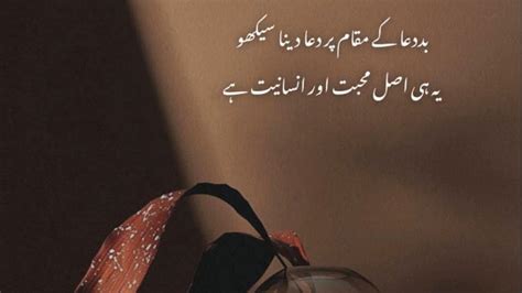 MOHABBAT AUR INSANIYAT Best New Urdu Aqwal E Zareen Urdu Shero