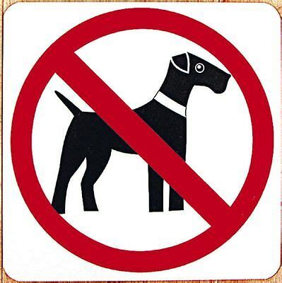 Die schilder, auf denen fett „hunde verboten steht. Schild Warnschild 20 x 20 cm Zutritt fuer Hunde verboten ...