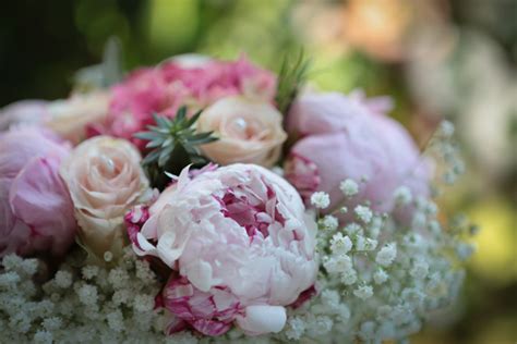 La consegna del vostro cesto di fiori per matrimonio sarà effettuata a milano. Fiori matrimonio giugno? Per risparmiare ho fatto così ...
