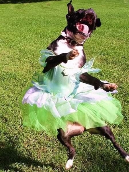 12 Craziest Tutus And The Weird People Who Wear Them Tutus Weird People Oddee