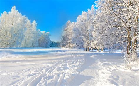 Winter Wallpapers Hd For Desktop Pixelstalknet