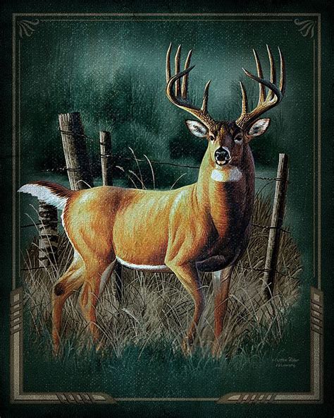 Whitetail Deer By Jq Licensing Deer Artwork Deer Art Print Deer