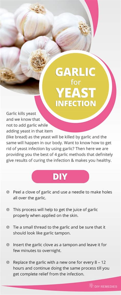 The Way To Eliminate Yeast Candida Overgrowth Best Yeast Infection Tips