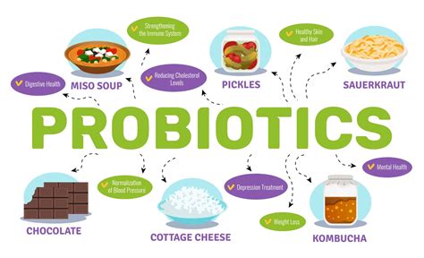 What Are Probiotics And Prebiotics