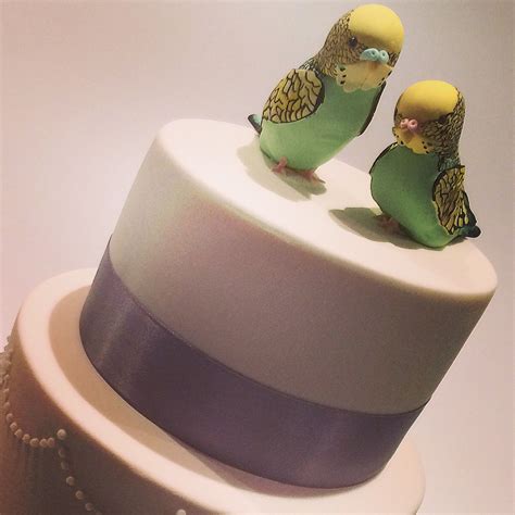 Pin By Jern Kongwaree On Bd Cake Bird Animal Cakes Bird Cakes