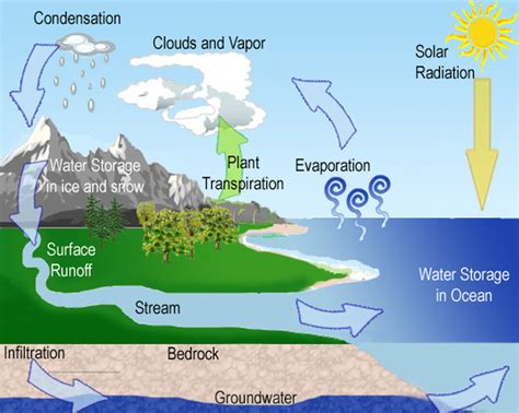 Water Cycle Yoders Classroom Connection