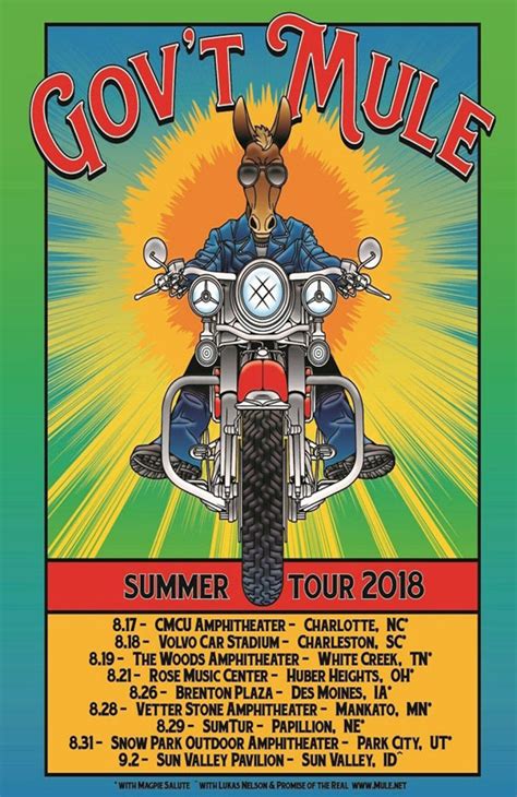 Govt Mule Poster Concert Summer 2018 Tour Government 11 X 17 Inches