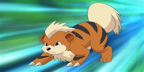 Growlithe Is A Good Beautiful Pupper Pokemon Whos Not A Cop