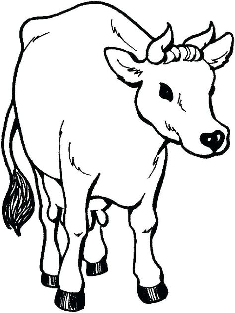 Cow Coloring Pages For Adults at GetColorings.com | Free printable