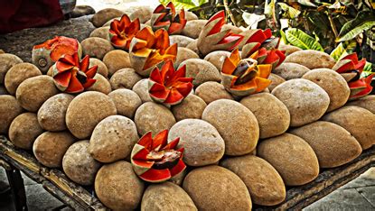 The outside of a mamey is leathery, and it should yield slightly when it is ripe. Can You Eat This? Mamey Fruit | Sayulita Beach