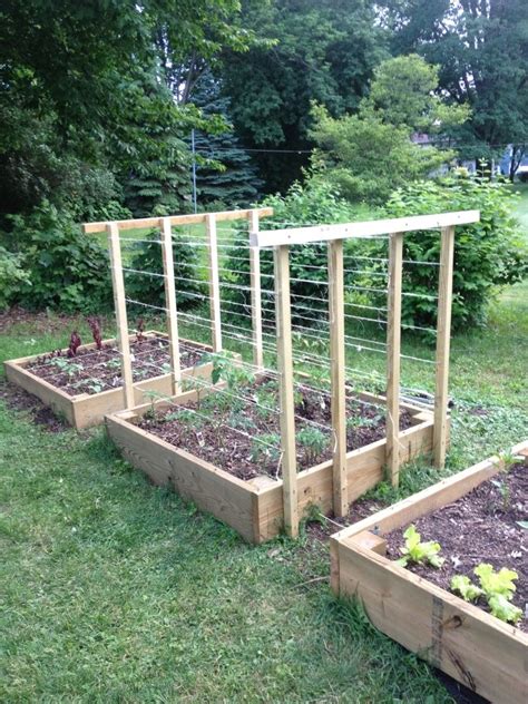 My Tomato Trellis Vegetable Garden Design Home Vegetable Garden Backyard Vegetable Gardens