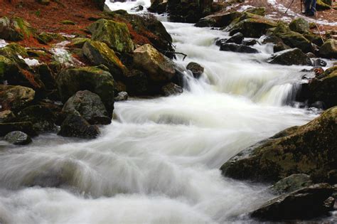 Forest Jungle River Rocks Stones Waterfalls Canada Wallpapers Hd