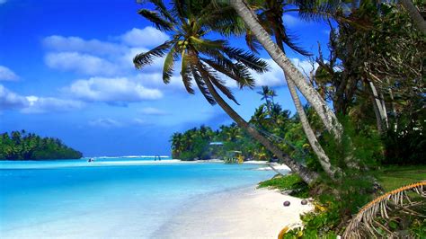 Beach Of Cayman Islands Tropical Landscape Ocean Blue Water And Green