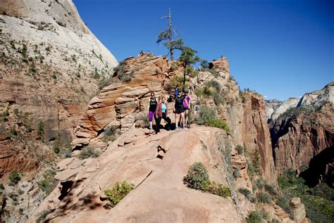 Top Hikes In Zion National Park Infographic Zion Ponderosa