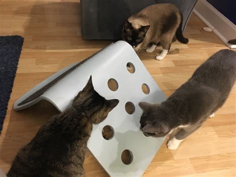 As much as we love to spoil our dogs and cats with toys, treats, and even fancy rain gear, the easy life of a domesticated pet can have its downfalls — especially when it comes to meals. Ikea Hack Chair Puzzle - - Food Puzzles for Cats