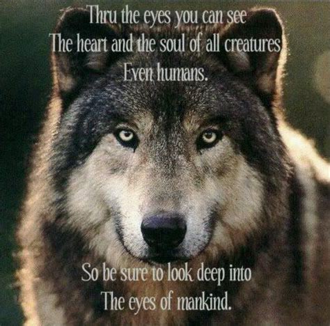 Alpha Female Wolf Quotes Shortquotescc