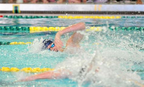 The 2019 Lehighvalleylive All Area Boys Swimming And Diving Team