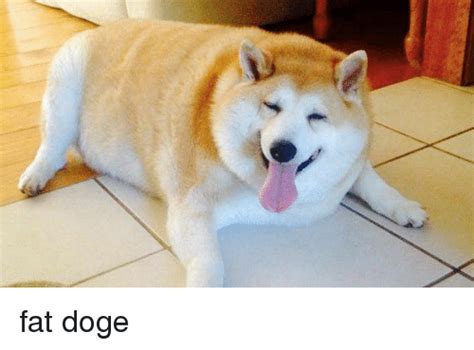 Fat Doge Dank Meme On Meme
