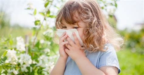 How To Manage Kids Seasonal Allergies Cornerstone Academy