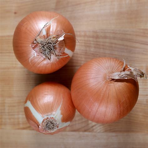 Top How To Tell If Onion Is Bad