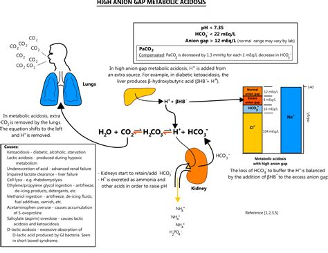 Normal Anion Gap Metabolic Acidosis In The Setting Of Metabolic