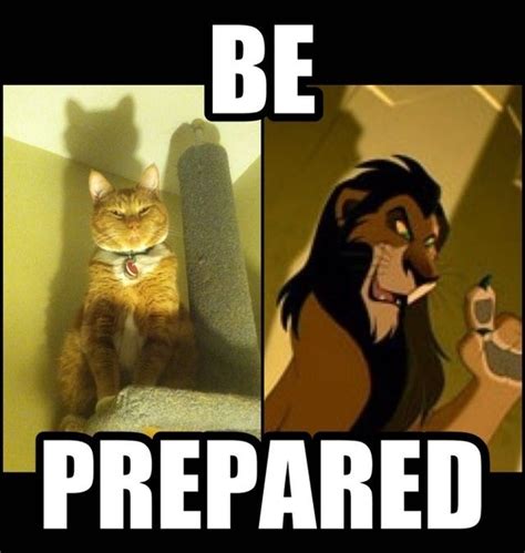 My Cat Tries To Intimidate Me By Acting Like Scar And It Works Meme Guy
