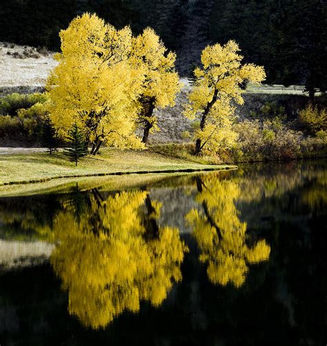 Autumn Lake Reflection Photograph By Patrick Derickson