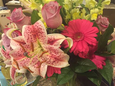 With more than 64 omaha trails covering 4129 miles, you're bound to find a perfect trail like the jack sutton drive or ridge road trail. Eastern Floral - 35 Photos - Florists - 2836 Broadmoor Ave ...