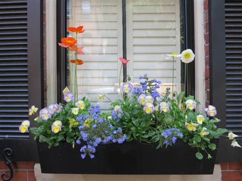 40 Window And Balcony Flower Box Ideas Photos Home Stratosphere