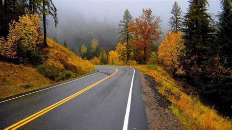 Foggy Autumn Road Hd Wallpaper Background Image