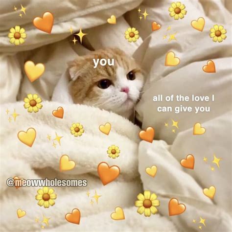 32 Love Cute Cat Heart Meme