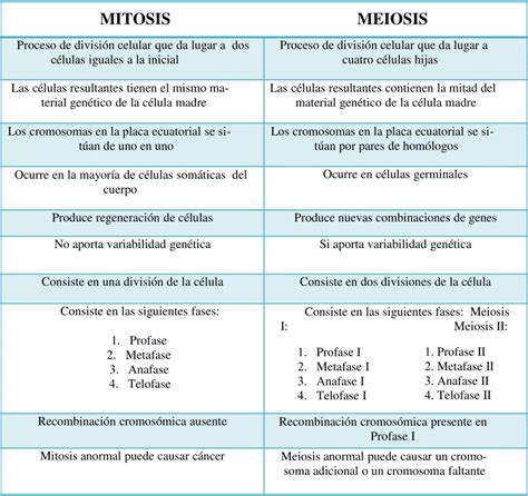 Cuadros Comparativos De La Mitosis Y Meiosis 【descargar】