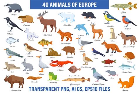 Animals Of Europe Collection