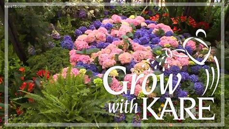 Grow With Kare Bachman S Spring Flower Show Youtube