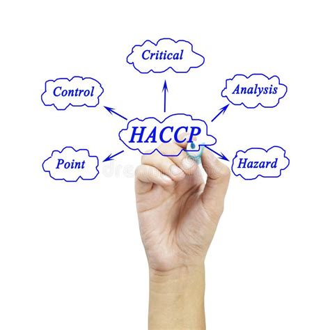El Significado Del Concepto De HACCP análisis De Peligro De Los Puntos