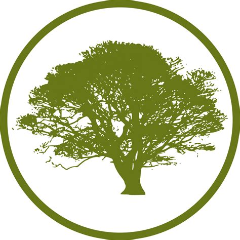 Tree Icon Png 37303 Free Icons Library