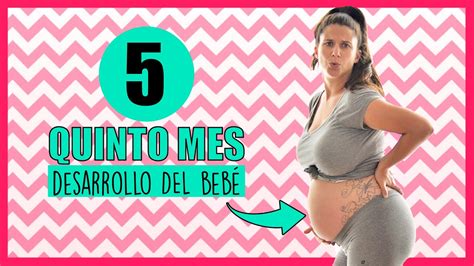 ️ ¿cómo Se Ve Un Bebé De 5 Meses De GestaciÓn 📆 Quinto Mes De Embarazo
