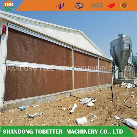 Greenhouse Industrial Livestock Chicken House Poultry Farm Wall Mounted