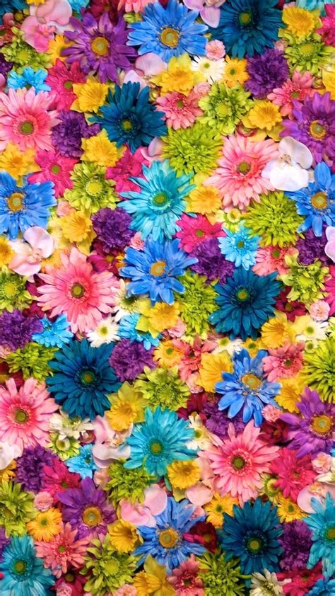 Colourful Flower Mobile Wallpapers Wallpaper Cave