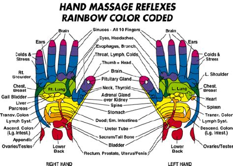 Hand Reflexology Reflexology Hand Reflexology Reflexology Chart