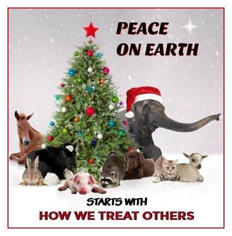 Explore more on vaccine registration. COVID-19 Vaccine Registration System in New Mexico