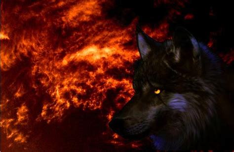 Free Download Fire Wallpaper Fire Wolf Wallpaper Hd By 1280x720 For